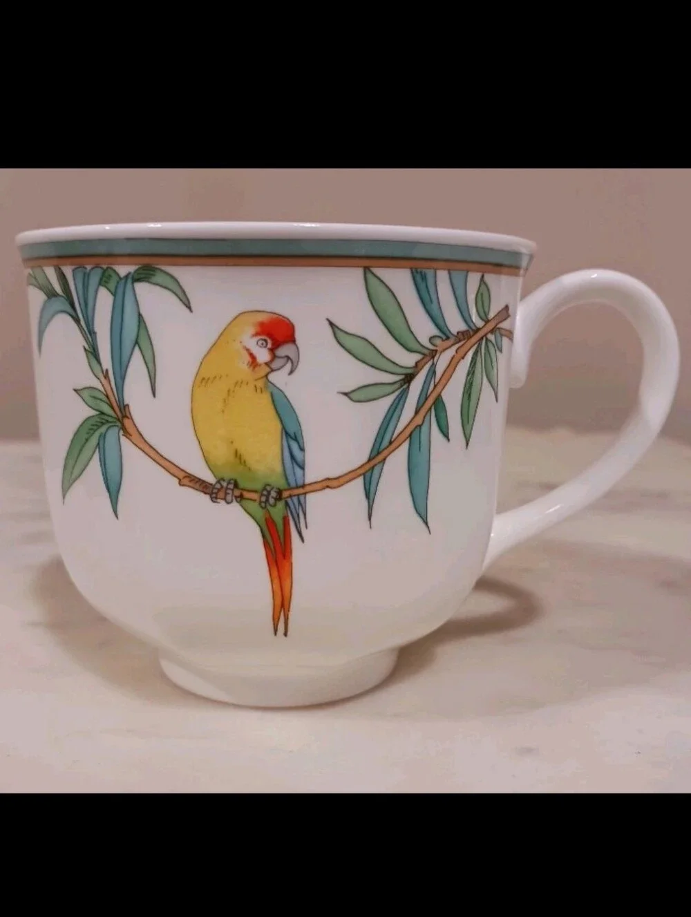 Heinrich Villeroy & Boch 8-PC Amazona Tea Cup & Saucer Set